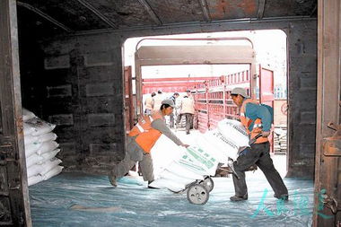 春耕抢运图 铁路货场上的“盖布守护者”